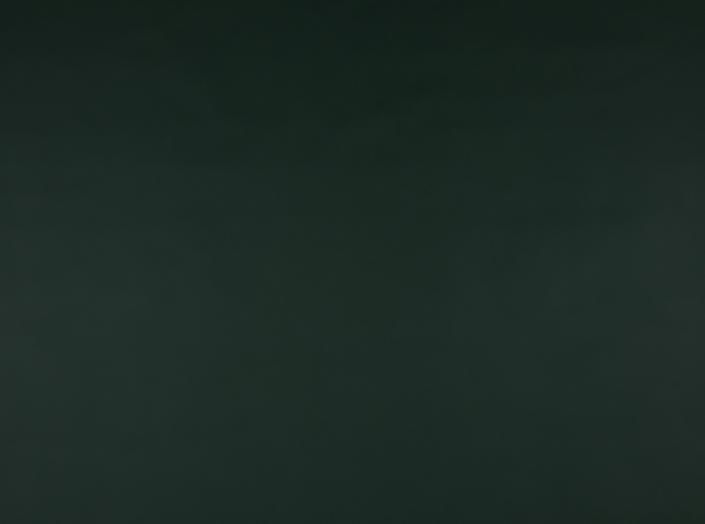 Illusion 3.0, 77773 Dark green Illusion 3.0, 77773 Dark green