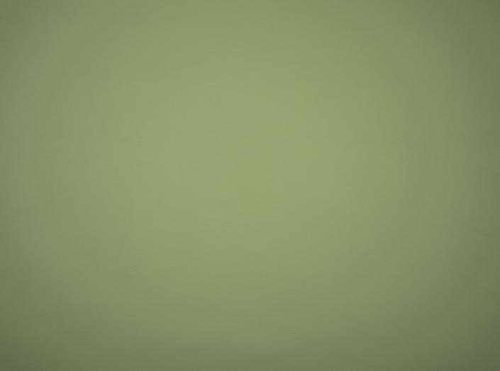 Illusion 3.0, 71220 Sage Illusion 3.0, 71220 Sage