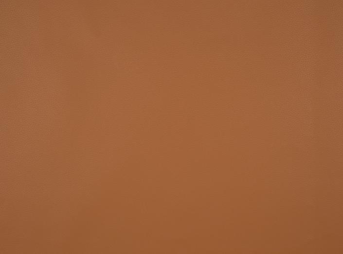 Fjord 34 Camel Fjord 34 Camel