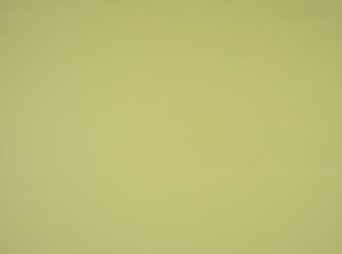 Fjord 27 Wild lime Fjord 27 Wild lime